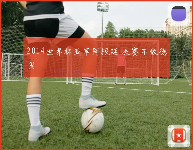 2014世界杯亚军阿根廷 决赛不敌德国