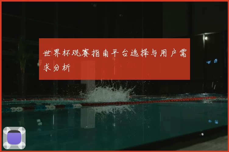 世界杯观赛指南平台选择与用户需求分析