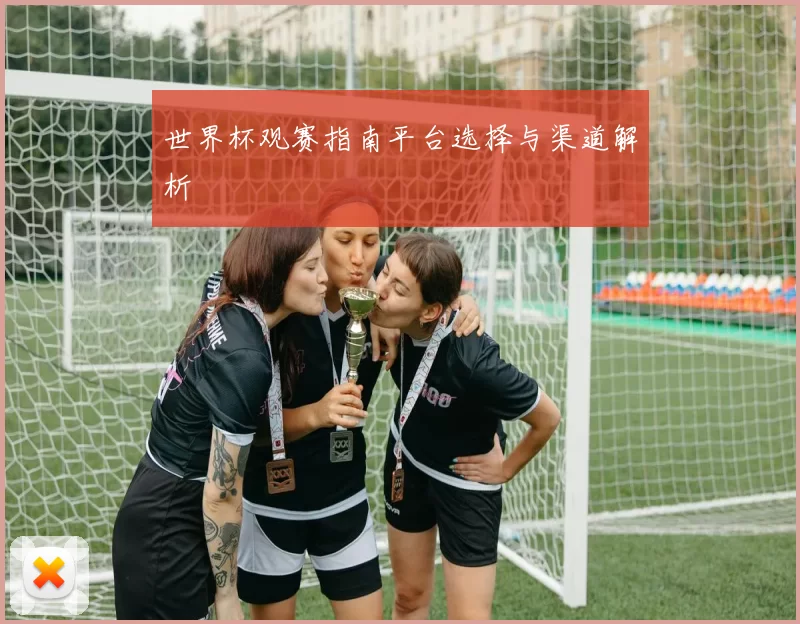 世界杯观赛指南平台选择与渠道解析