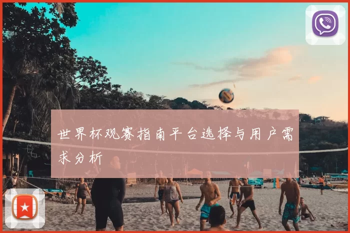 世界杯观赛指南平台选择与用户需求分析