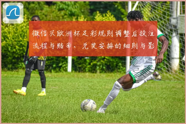微信买欧洲杯足彩规则调整后投注流程与赔率、兑奖安排的细则与影响分析