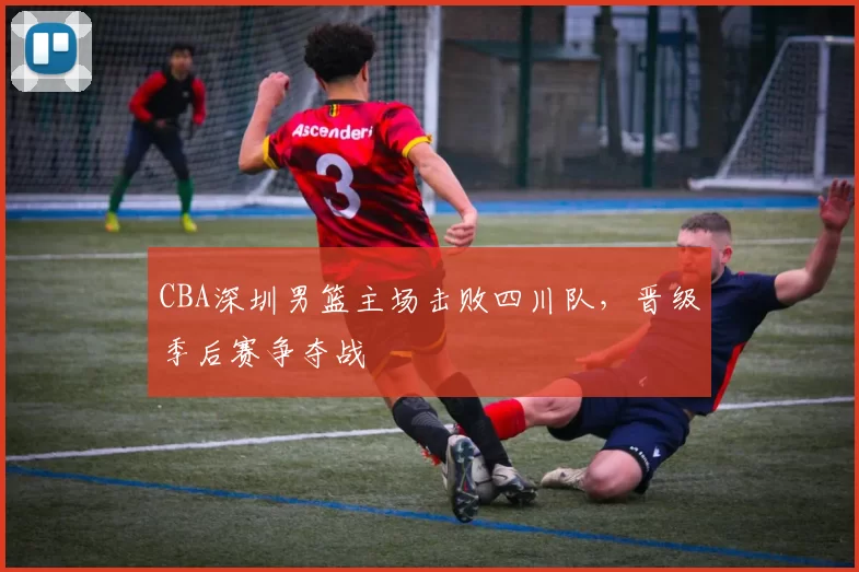 CBA深圳男篮主场击败四川队，晋级季后赛争夺战