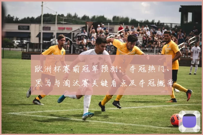 欧洲杯赛前冠军预测:夺冠热门、黑马与淘汰赛关键看点及夺冠概率评估