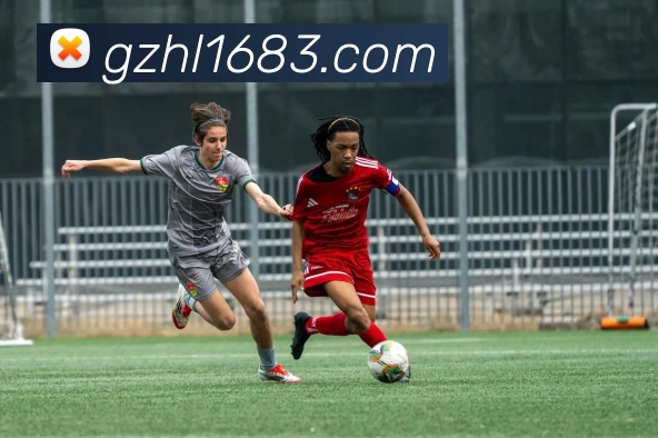 星空网最新地址品牌故事