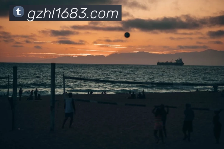 星空网最新地址服务体系